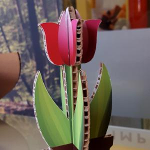 figura-cartn-alveolar